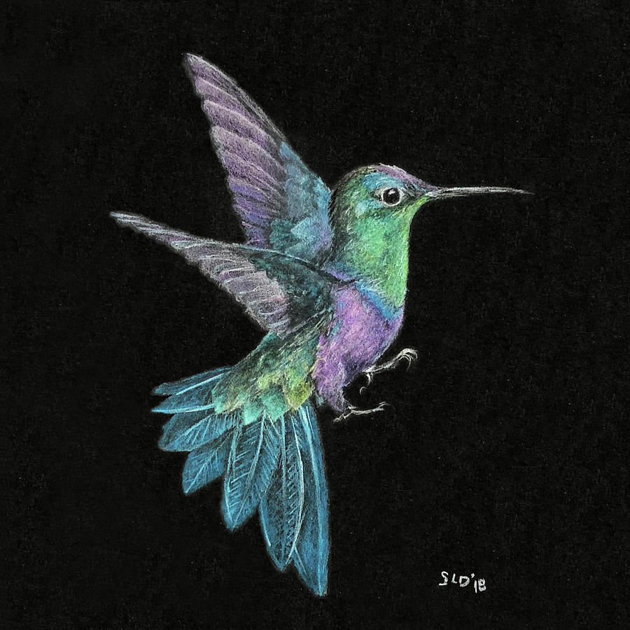 Humming Bird Drawing using Pencil Colors/ How to Draw Humming Bird - YouTube