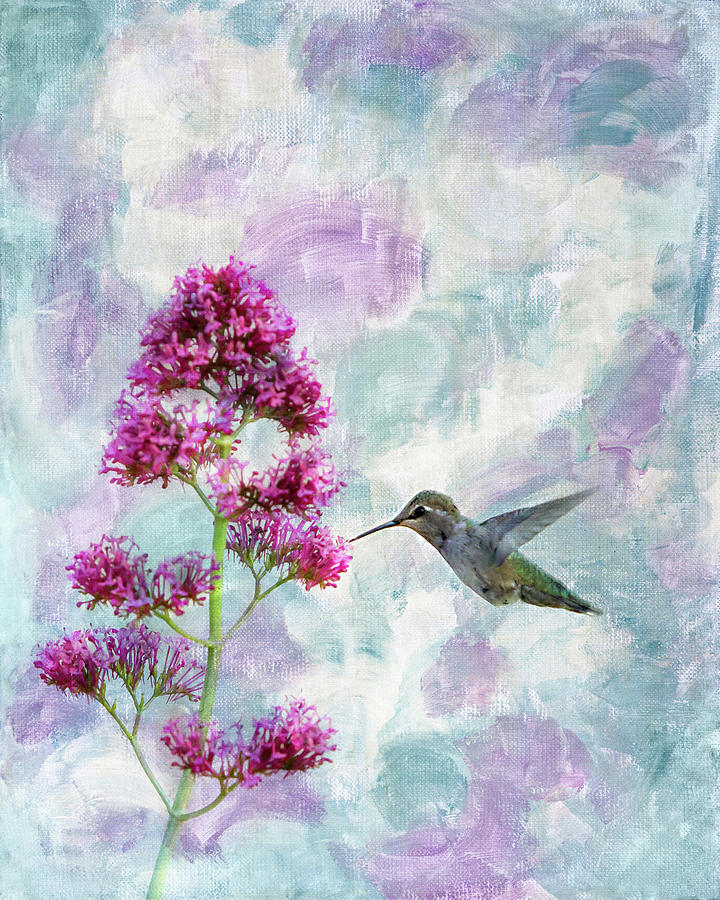 Hummingbird 3 Photograph by Rebecca Cozart