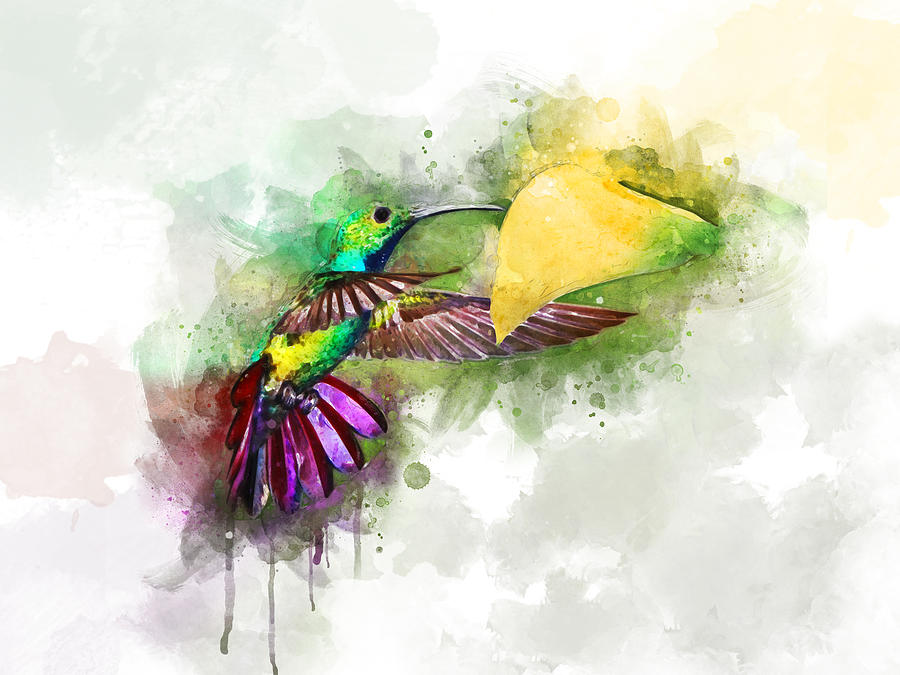 Hummingbird Digital Art