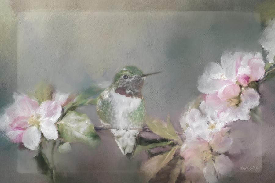 Hummingbird and Blossoms Photograph by Teresa Wilson