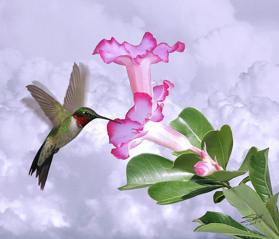Hummingbird and Desert Rose Digital Art by M Spadecaller