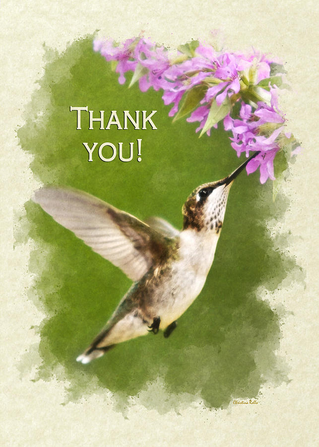  Thank You Card Hummingbird and Flowers Mixed Media by Christina Rollo