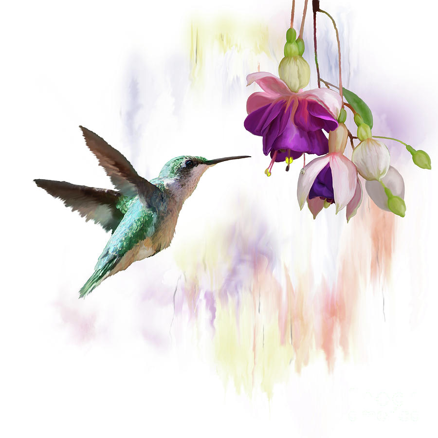 Hummingbird and flowers watercolor Digital Art by Svetlana Foote Pixels