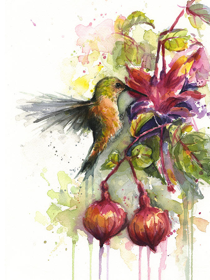 Hummingbird Painting - Hummingbird and Fuchsia by Olga Shvartsur