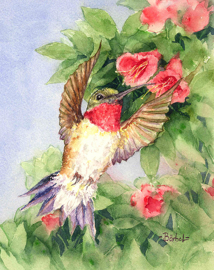 Hummingbird and Nectar Painting by Barbel Amos