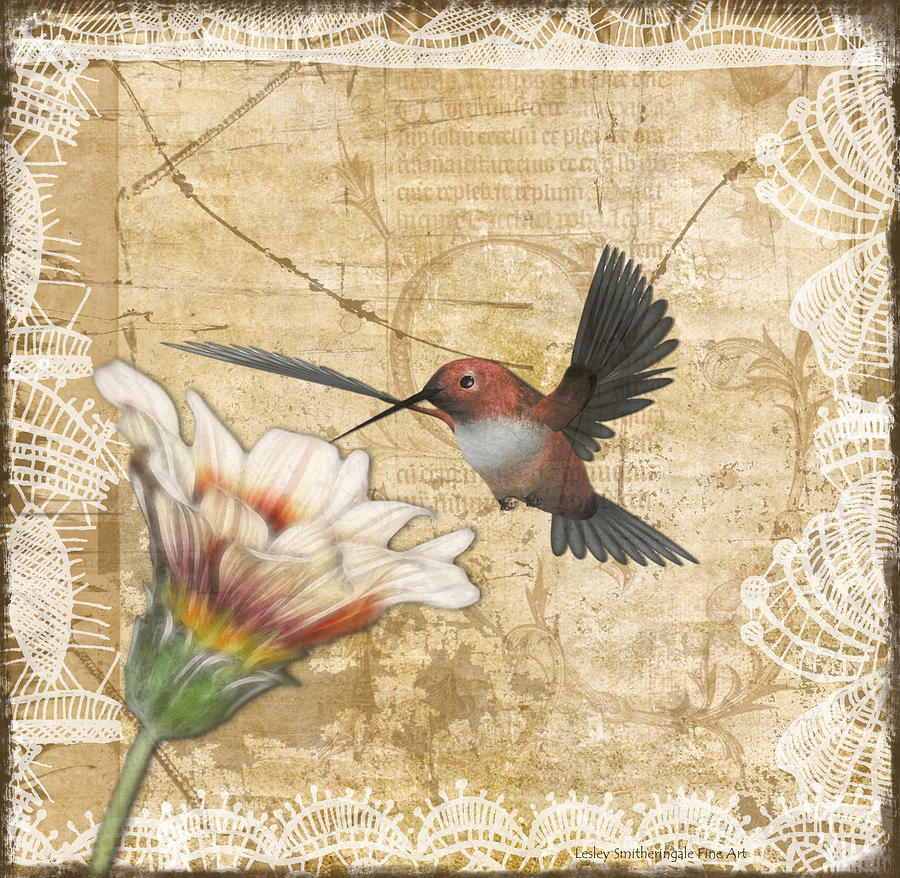 Hummingbird And Wildflower Digital Art by Lesley Smitheringale