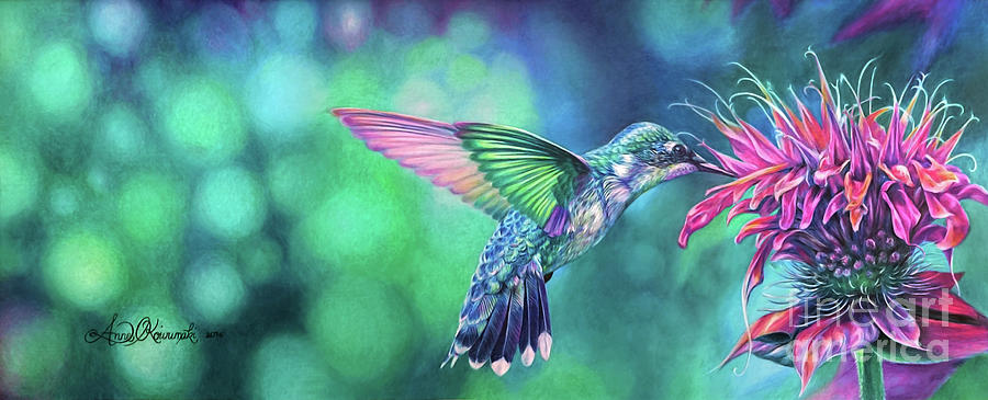 Bird Drawing - Hummingbird by Anne Koivumaki - Fine Art Anne Bird Drawing - Hummingbird by Anne Koivumaki - Fine Art Anne
