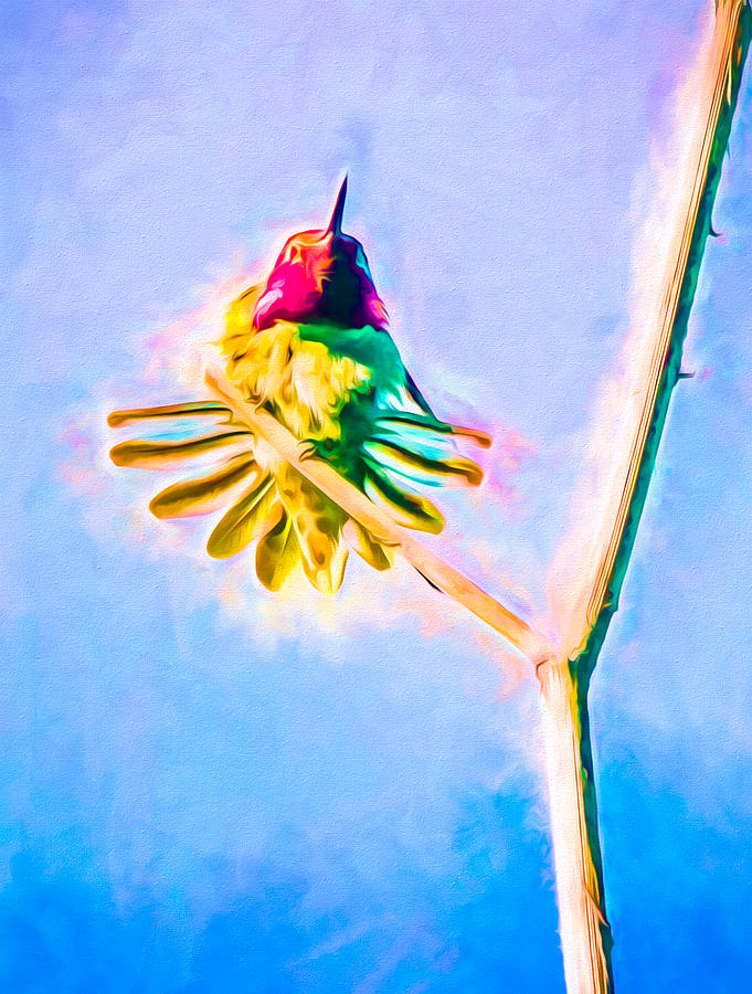 Hummingbird Art - Energy Glow Mixed Media by Priya Ghose