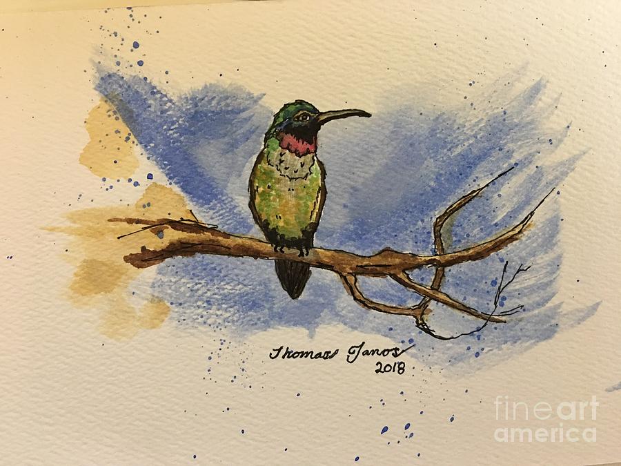 Hummingbird at rest Painting by Thomas Janos