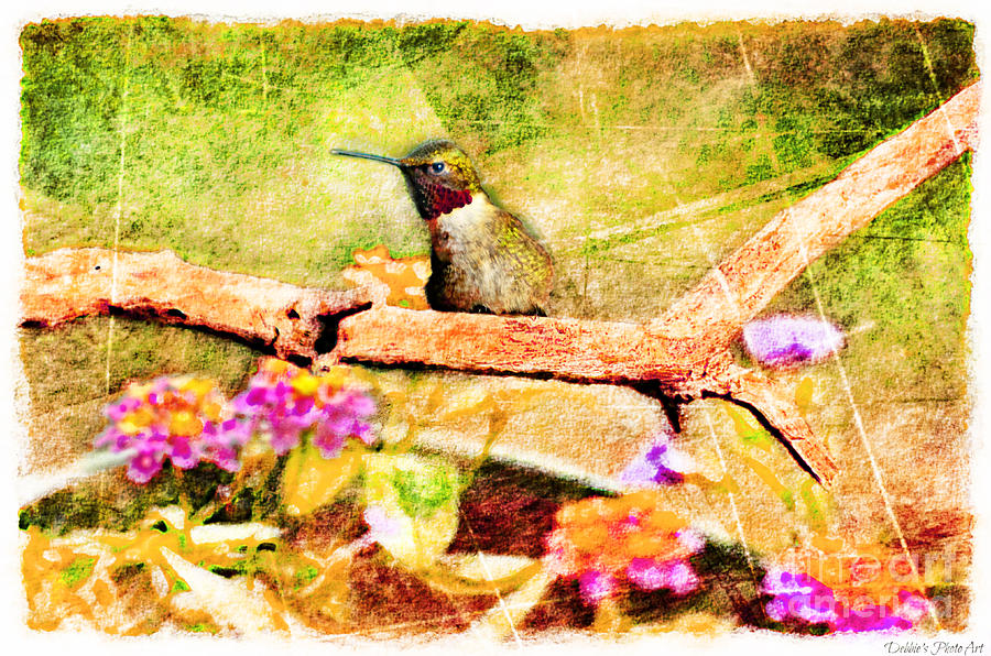 Hummingbird Attitude - Digital Paint 4 Photograph by Debbie Portwood