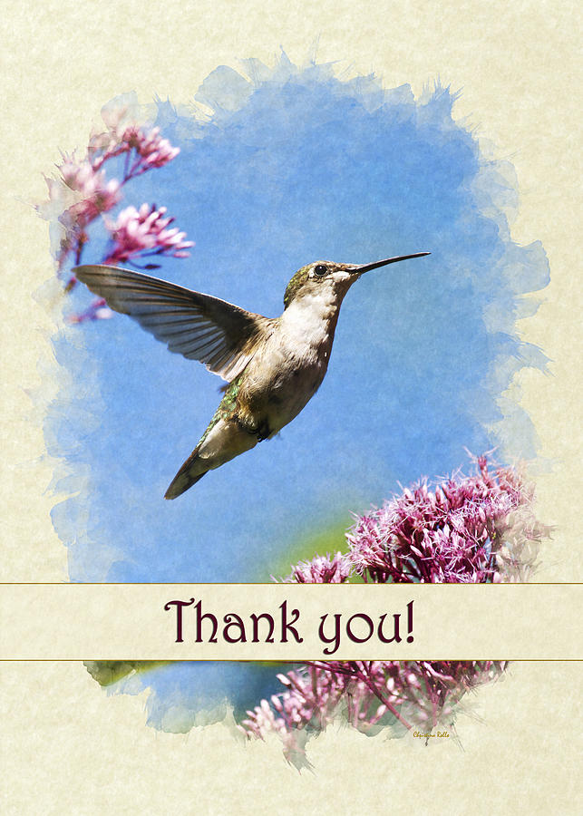 Thank You Card Hummingbird Beauty Mixed Media by Christina Rollo