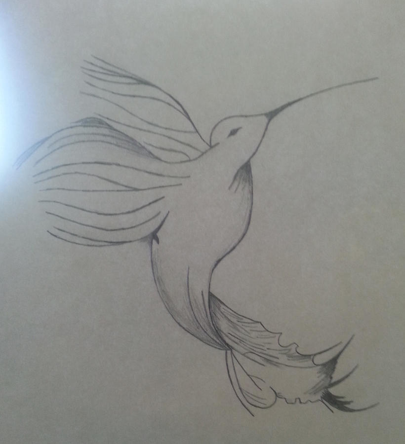 Hummingbird - black/white Drawing by Kalista Brown-Black - Fine Art America