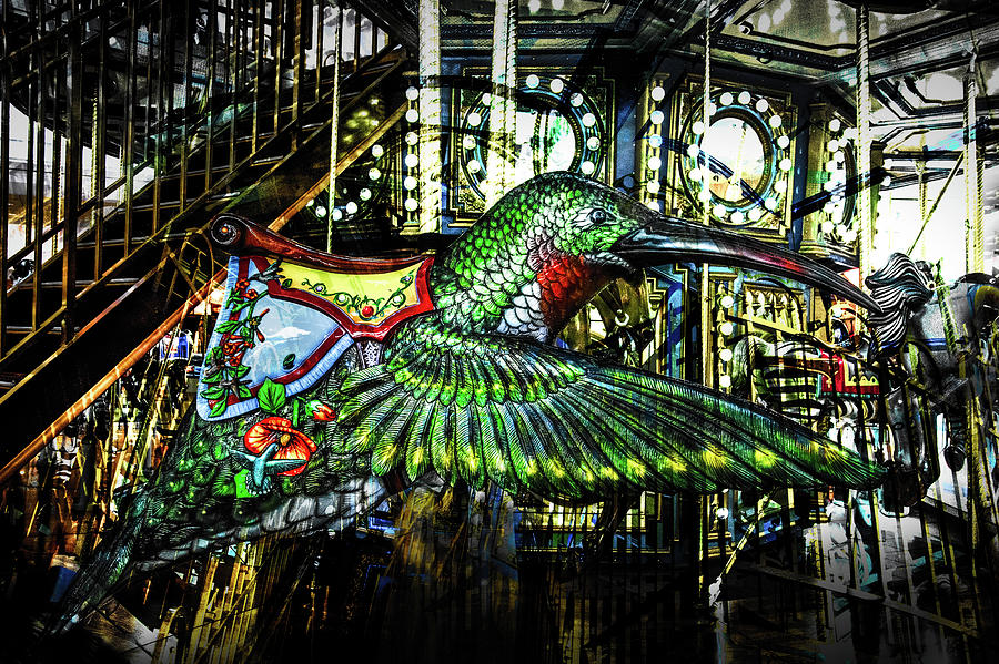 Hummingbird Carousel Photograph by Michael Arend