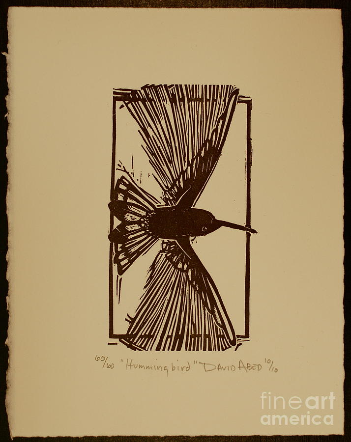 Bird Drawing - Hummingbird by David Abed