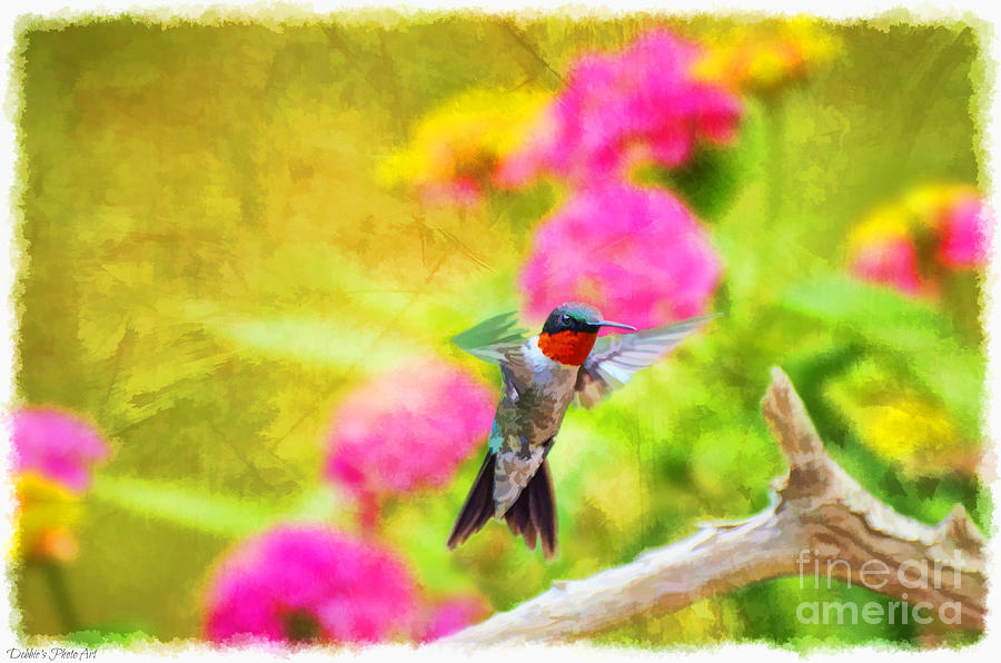 Hummingbird Day - Digital Paint 1 Photograph by Debbie Portwood