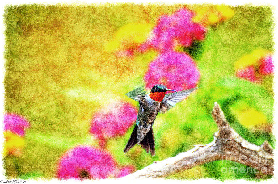 Hummingbird Day - Digital Paint 2 Photograph by Debbie Portwood