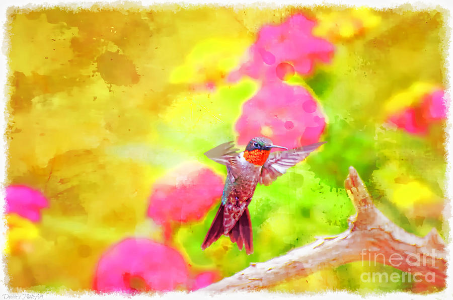 Hummingbird Day - Digital Paint 3 Photograph by Debbie Portwood