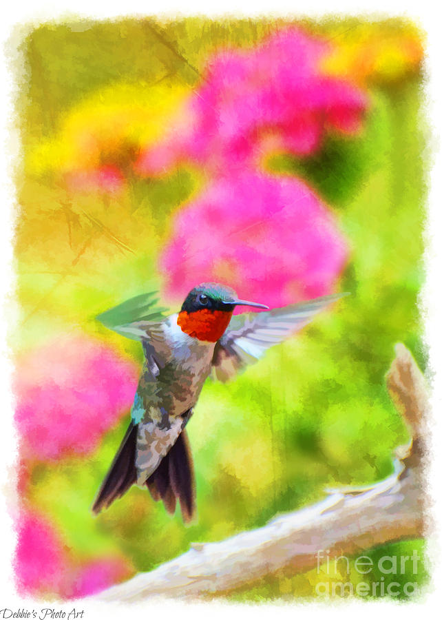 Hummingbird Day - Tall Photograph by Debbie Portwood
