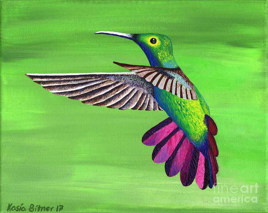 Hummingbird Delight Painting by Kasia Bitner