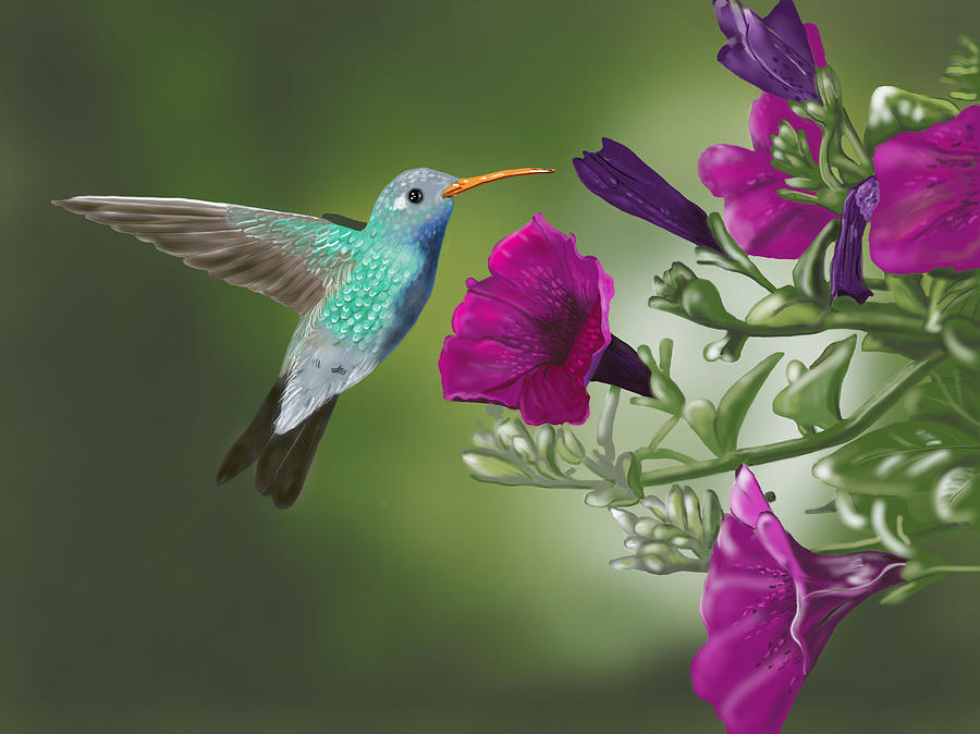 Hummingbird Digital Art by Dorothy Riley