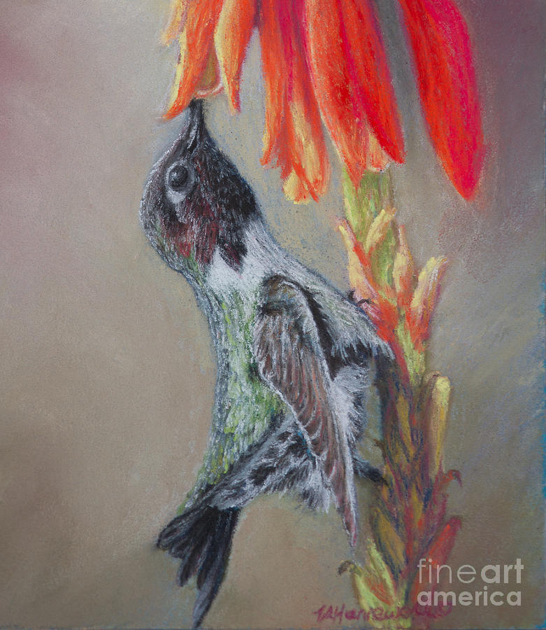 Hummingbird Eating Painting by Tracey Hunnewell