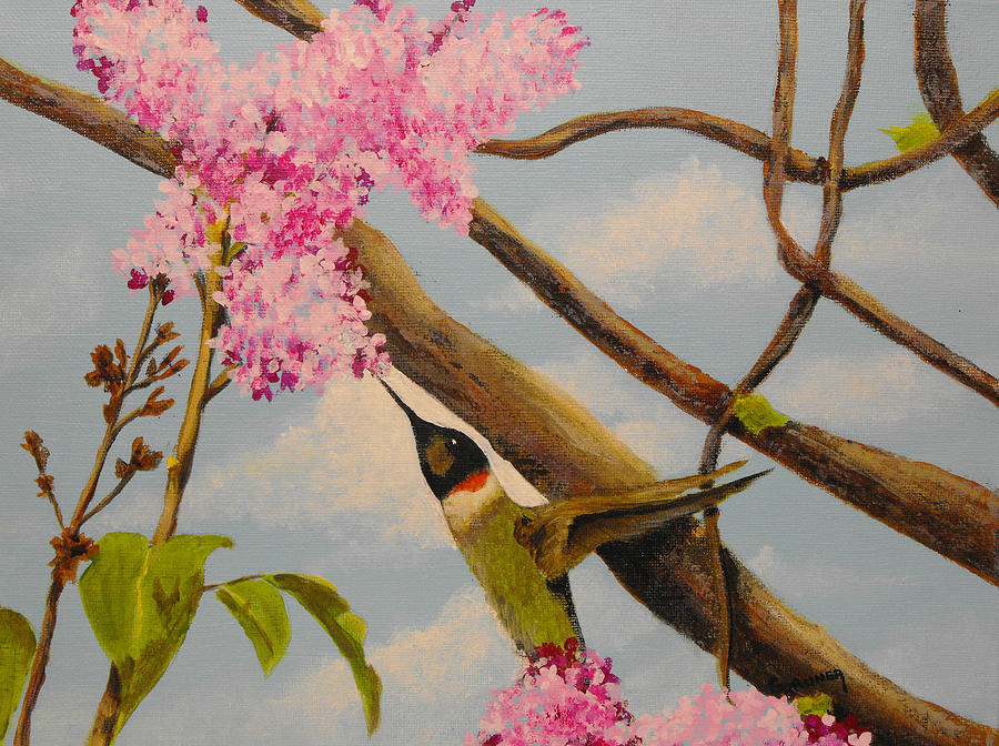 Hummingbird Feeding on Lilac Painting by Susan Bruner