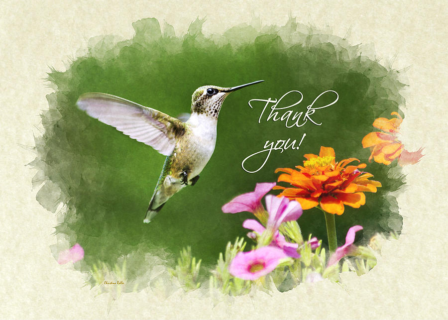 Hummingbird Flying with Flowers Thank You Card Mixed Media by Christina Rollo