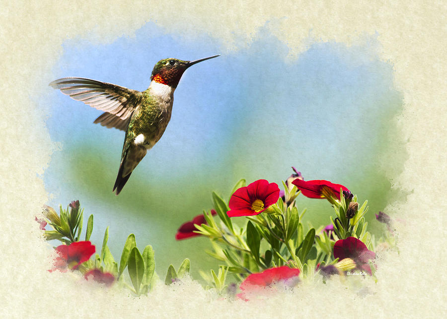 Hummingbird Frolic Blank Note Card Mixed Media by Christina Rollo