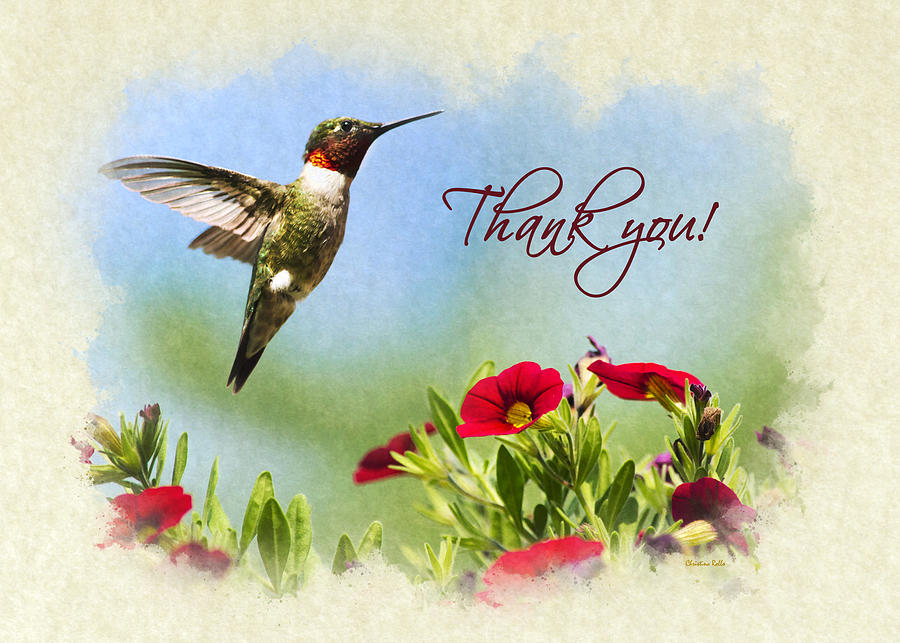 Hummingbird Frolic with Flowers Thank You Card Mixed Media by Christina Rollo