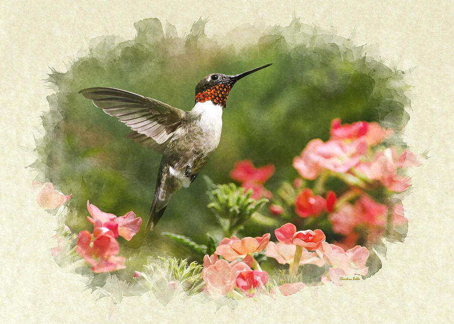 Note Card Hummingbird Garden Jewel Mixed Media by Christina Rollo