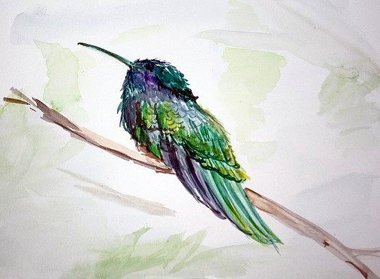 Hummingbird Painting - Hummingbird by Gaynell Parker