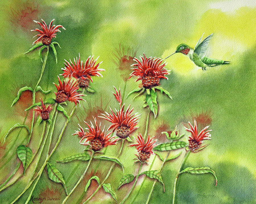 Hummingbird In Beebalm Painting by Kathryn Duncan