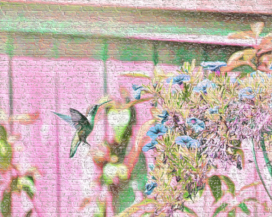 Hummingbird In The Garden Photograph