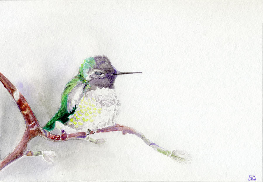 Hummingbird In Winter Painting