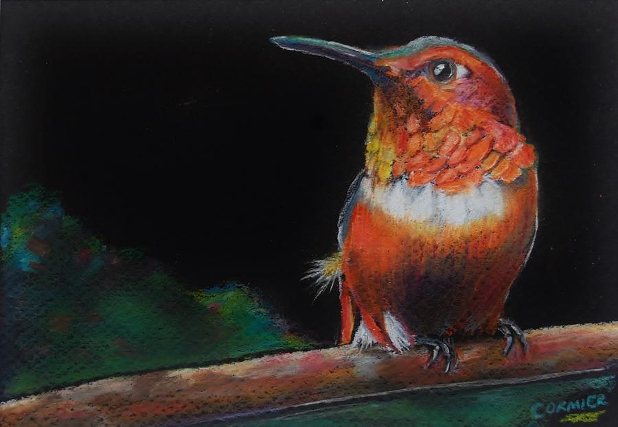 Hummingbird Drawing by Jean Cormier