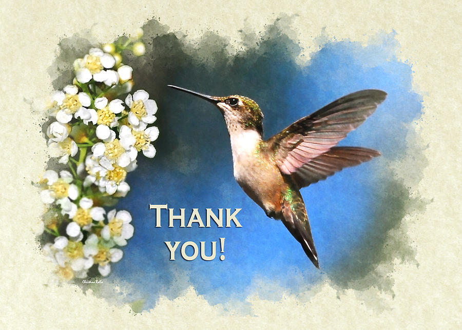Thank You Card Hummingbird Just Looking Mixed Media by Christina Rollo