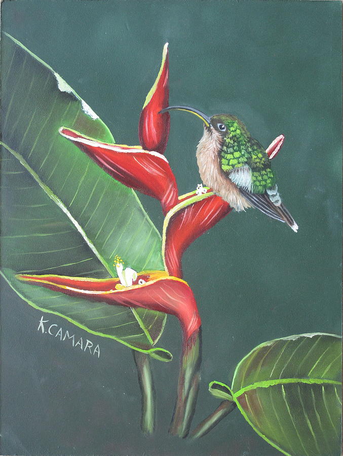 Hummingbird Painting by Kathie Camara