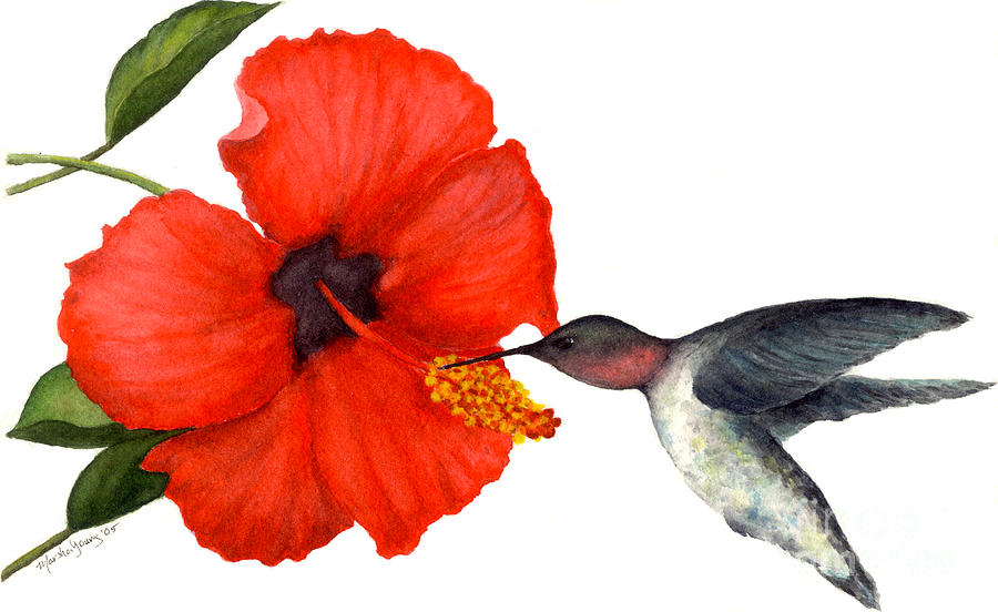 Hummingbird Painting by Marsha Young