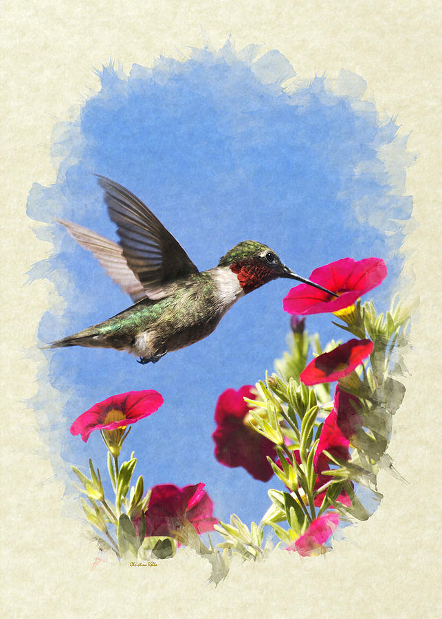 Hummingbird Garden Blank Note Card Mixed Media by Christina Rollo