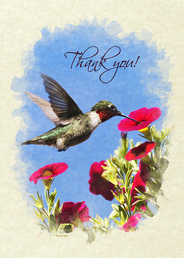 Hummingbird Moment in Time Thank You Card Mixed Media by Christina Rollo