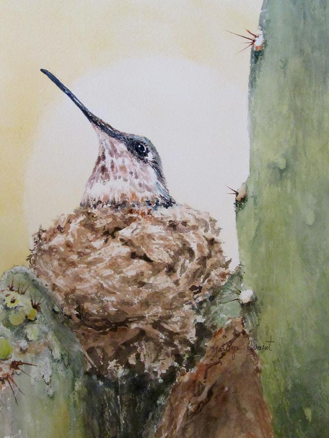 Bird Painting - Hummingbird Nesting in Cactus by Marilyn  Clement