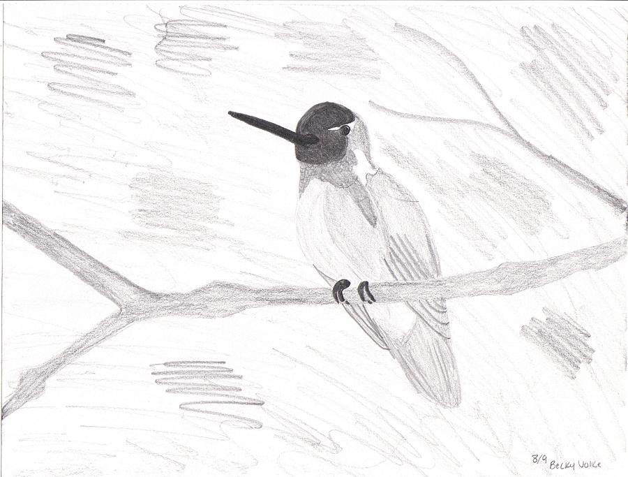 How to Draw Hummingbirds 7 Steps with Pictures  wikiHow