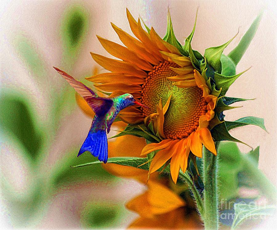 DJDL Hummingbird Sunflower Canvas Wall Art Prints Picture Home Decor Painting 