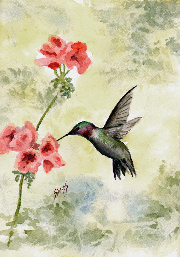 Hummingbird Painting by Sam Sidders