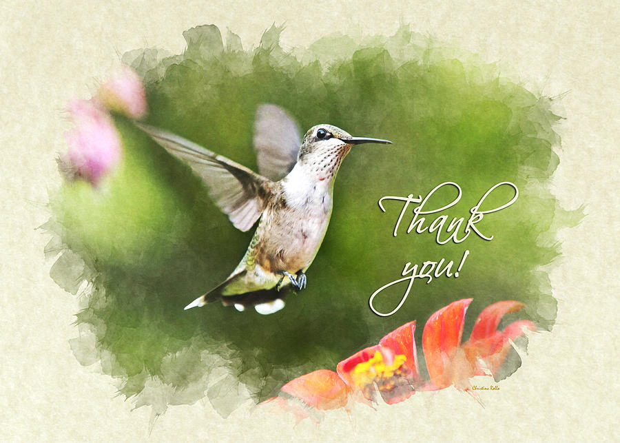 Thank You Card Hummingbird Shimmering Breeze Mixed Media by Christina Rollo