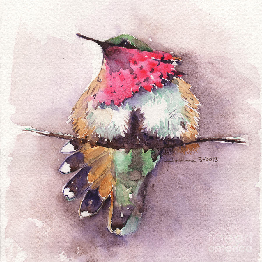 Hummingbird - Square Painting by Claudia Hafner