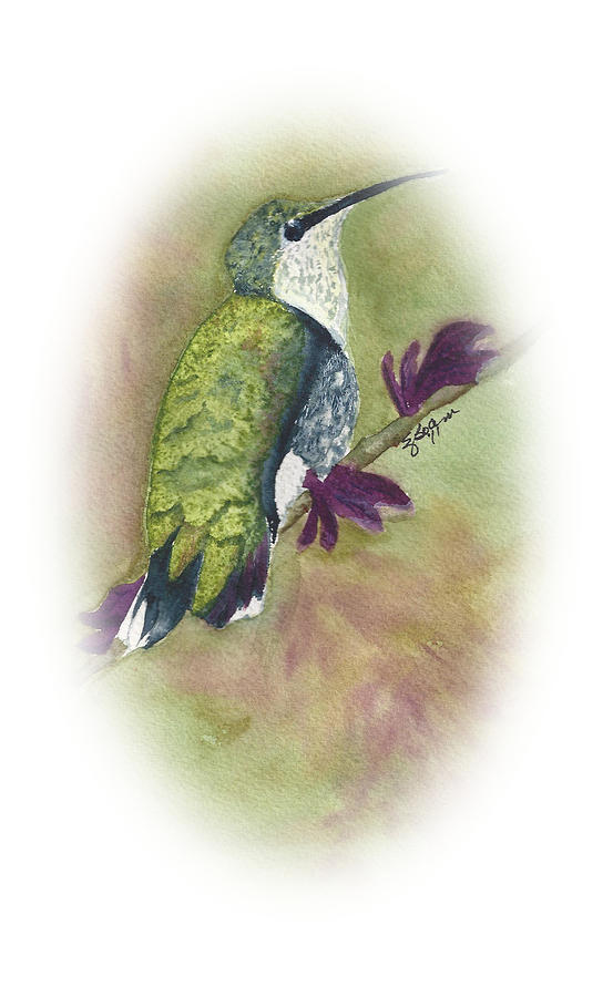 Hummingbird Still Painting by Elise Boam