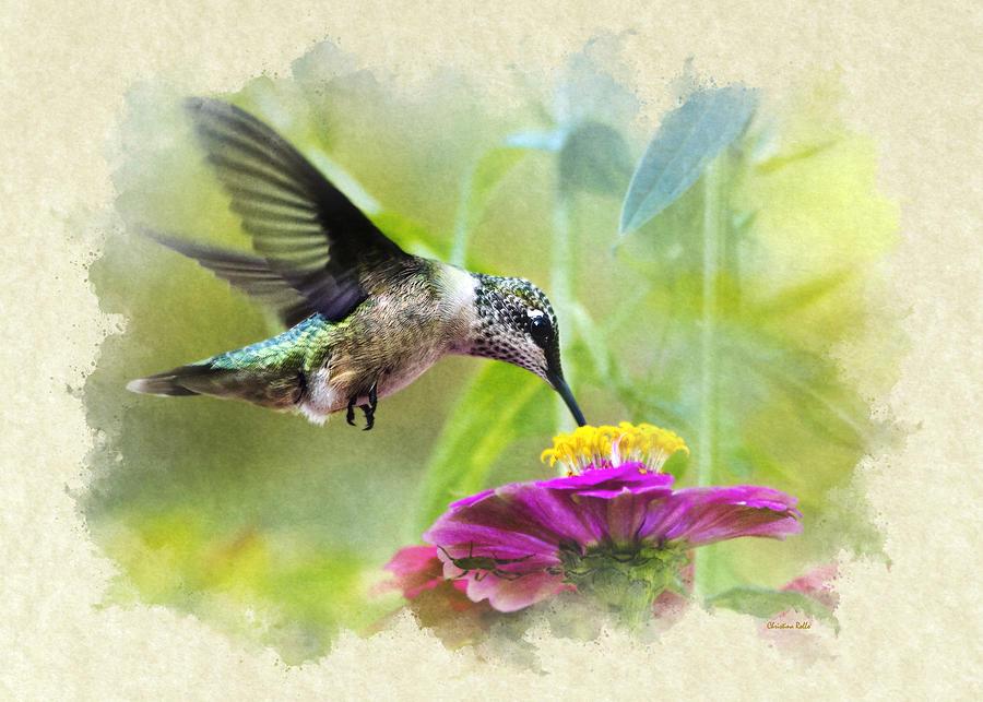Invitation Note Card Hummingbird Mixed Media by Christina Rollo