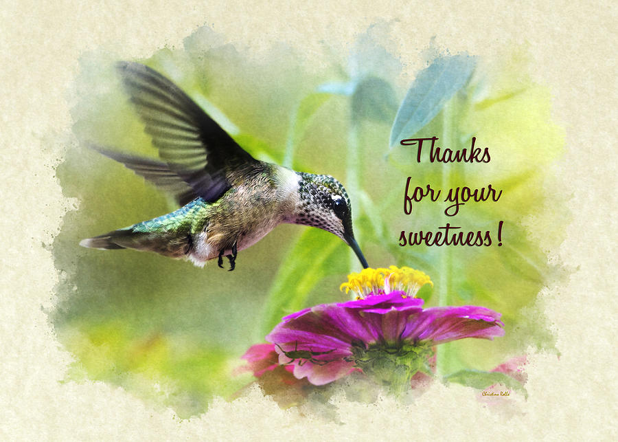 Thank You Card Hummingbird Sweetness Mixed Media by Christina Rollo