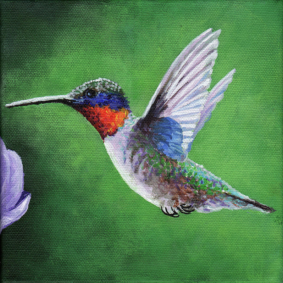 Hummingbird Painting by Timithy L Gordon